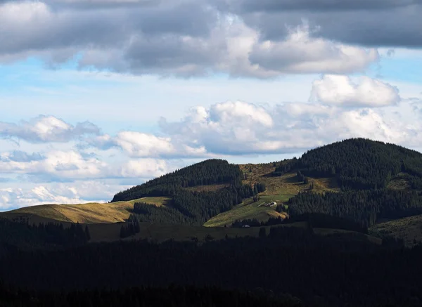 Karpaty Vesnice Zelený Les — Stock fotografie