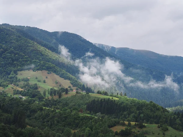 Nevoeiro Aldeia Nas Montanhas Carpatias — Fotografia de Stock
