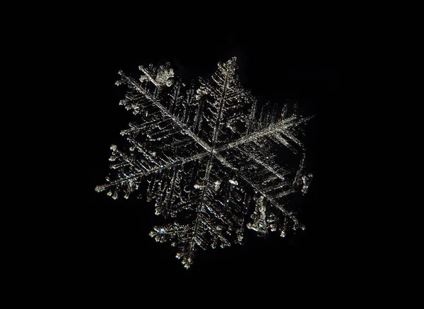 Schneeflockenmakro Der Luft Isoliert Bei Schwarz — Stockfoto