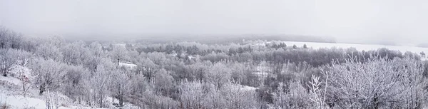 Bosque Nublado Congelado Vista Desde Montaña —  Fotos de Stock