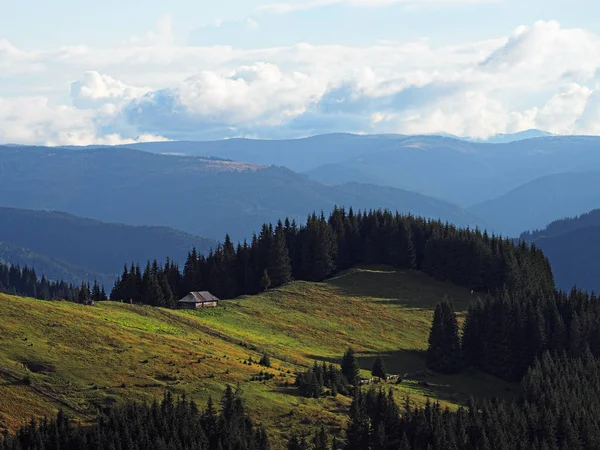 Carpathian Mountains Village Green Forest — Stock Photo, Image