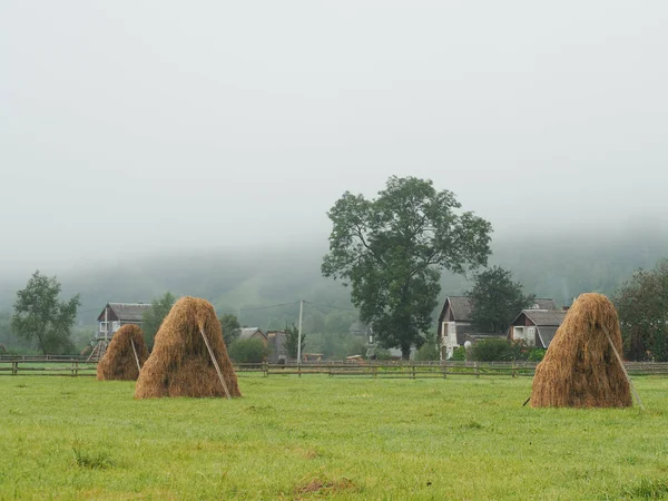 Fog Mist Village Carpatian Mountains — Stock Photo, Image