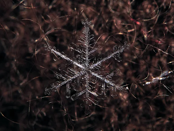 Snow flake transparent at the red