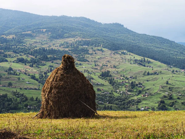 Karpaty Vesnice Zelený Les — Stock fotografie