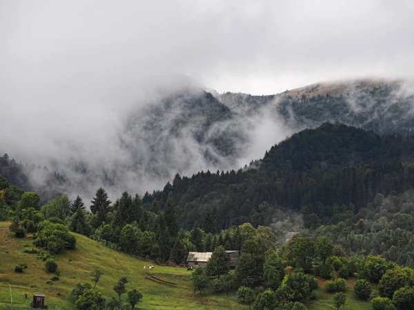 Brouillard Brouillard Village Dans Les Montagnes Carpatiennes — Photo