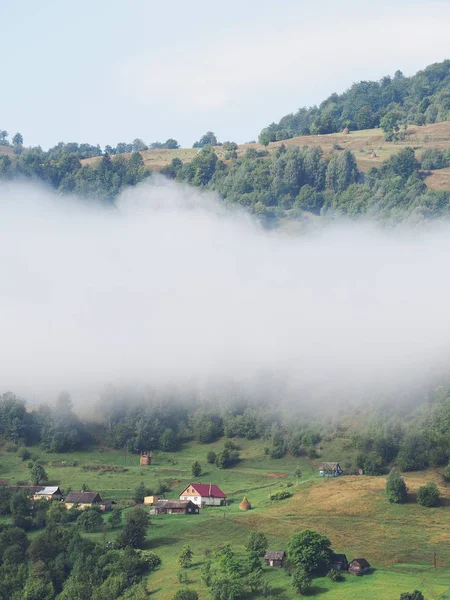 雾在村庄在 Carpatian — 图库照片