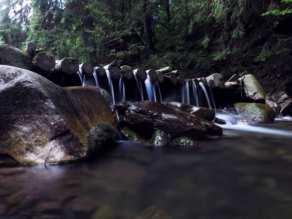 Водоспад Карпатах Зеленому Дощовому Сосновому Лісі — стокове фото