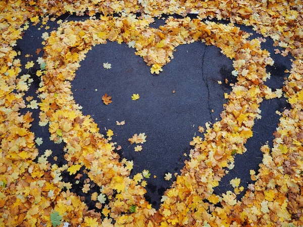 Heart from yellow autumn maple leaves at the blue asphalt