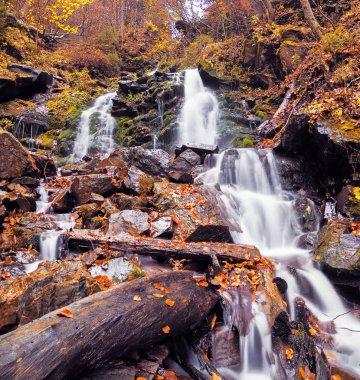 sonbahar orman şelale
