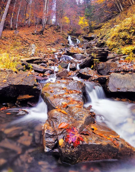 Cascata Nella Foresta Autunnale — Foto Stock