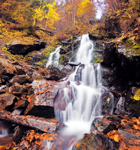 Cascata Nella Foresta Autunnale — Foto Stock