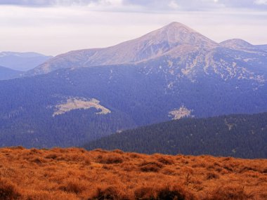 Güneşli bir gün dağ köyünde Carpatian
