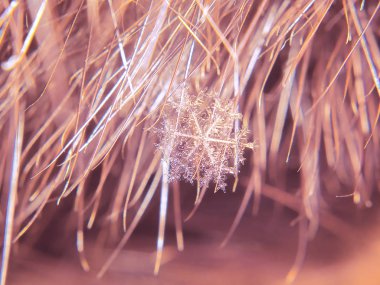 Kar tanesi güzel renkli arka plan makro üzerinde