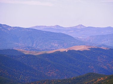 Güneşli bir gün dağ köyünde Carpatian