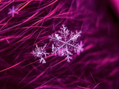 Kar tanesi güzel renkli arka plan makro üzerinde