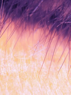 Kar tanesi güzel renkli arka plan makro üzerinde