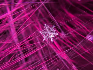 Kar tanesi güzel renkli arka plan makro üzerinde