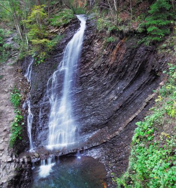 Karpat orman şelale
