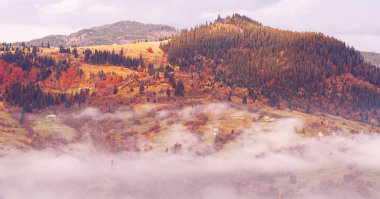 Güneşli sisli gün dağ köyünde Carpatian