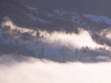 Sis Carpatian Dağları 