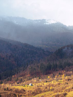 Güneşli bir gün dağ köyünde Carpatian