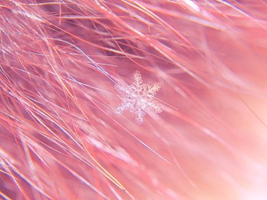 Kar tanesi güzel renkli arka plan makro üzerinde