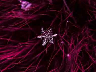 Kar tanesi güzel renkli arka plan makro üzerinde