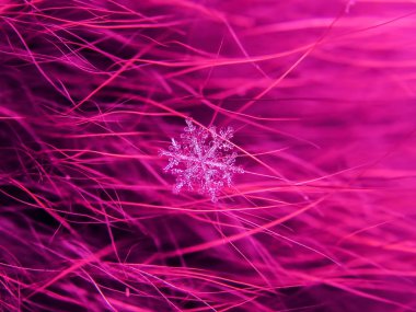 Kar tanesi güzel renkli arka plan makro üzerinde
