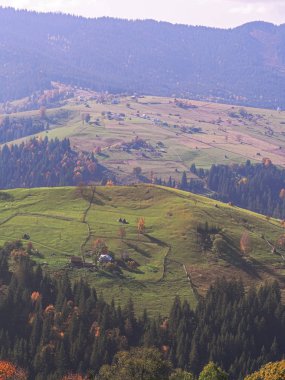 Güneşli bir gün dağ köyünde Carpatian