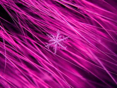 Kar tanesi güzel renkli arka plan makro üzerinde