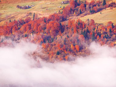 Güneşli sisli gün dağ köyünde Carpatian
