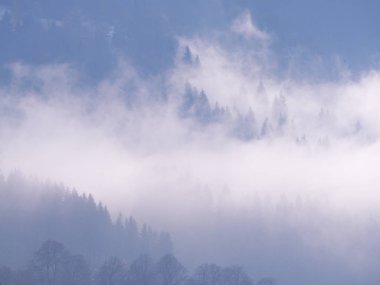 Sis Carpatian Dağları 