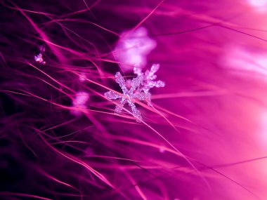 Kar tanesi güzel renkli arka plan makro üzerinde