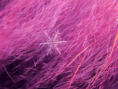 Kar tanesi güzel renkli arka plan makro üzerinde