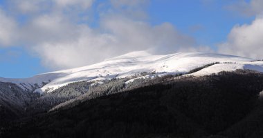 Güneşli bir gün dağ köyünde Carpatian