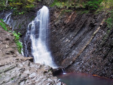 Karpat orman şelale