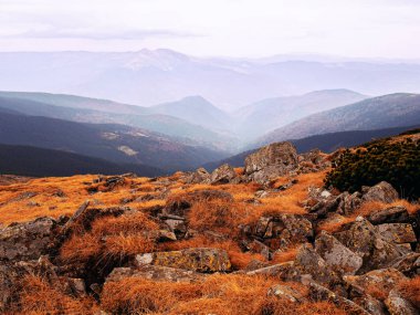 Güneşli bir gün dağ köyünde Carpatian