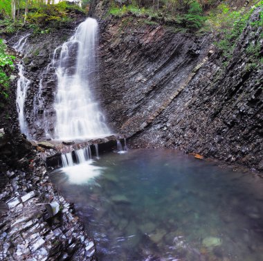 Karpat orman şelale