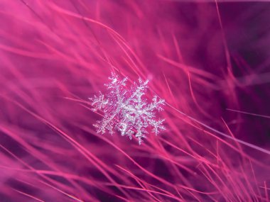Kar tanesi güzel renkli arka plan makro üzerinde