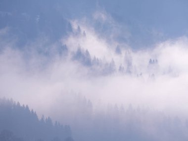 Sis Carpatian Dağları 