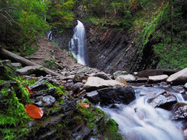 Karpat orman şelale
