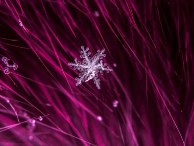 Kar tanesi güzel renkli arka plan makro üzerinde