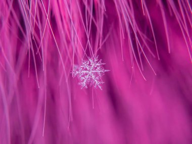 Kar tanesi güzel renkli arka plan makro üzerinde
