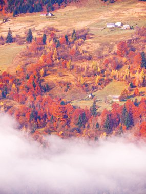 Güneşli sisli gün dağ köyünde Carpatian