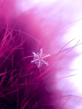 Kar tanesi güzel renkli arka plan makro üzerinde