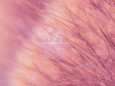 Kar tanesi güzel renkli arka plan makro üzerinde