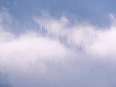 Sis Carpatian Dağları 