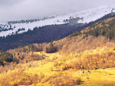 Güneşli bir gün dağ köyünde Carpatian