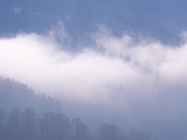 Sis Carpatian Dağları 