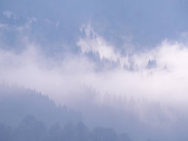 Sis Carpatian Dağları 